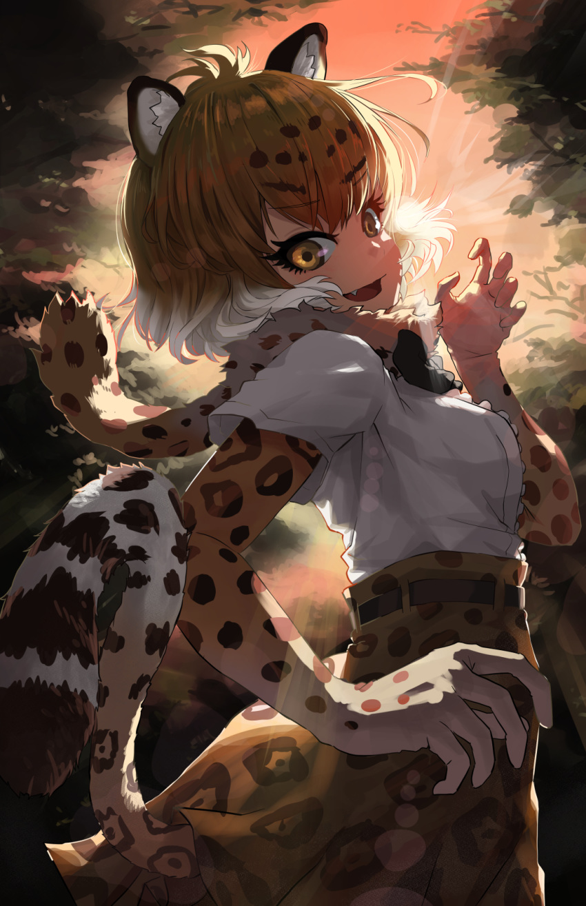 1girl animal_ears animal_print arm_at_side backlighting bangs belt blonde_hair bow bowtie breasts brown_hair cat_girl center_frills cowboy_shot elbow_gloves eyebrows_visible_through_hair eyelashes fang frills from_side fur_scarf gloves hand_up highres jaguar_(kemono_friends) jaguar_ears jaguar_girl jaguar_print jaguar_tail kemono_friends looking_at_viewer looking_to_the_side meraton multicolored_hair outdoors print_gloves print_neckwear print_skirt scarf shirt short_sleeves skirt smile solo sunlight tail twilight white_hair white_shirt yellow_eyes