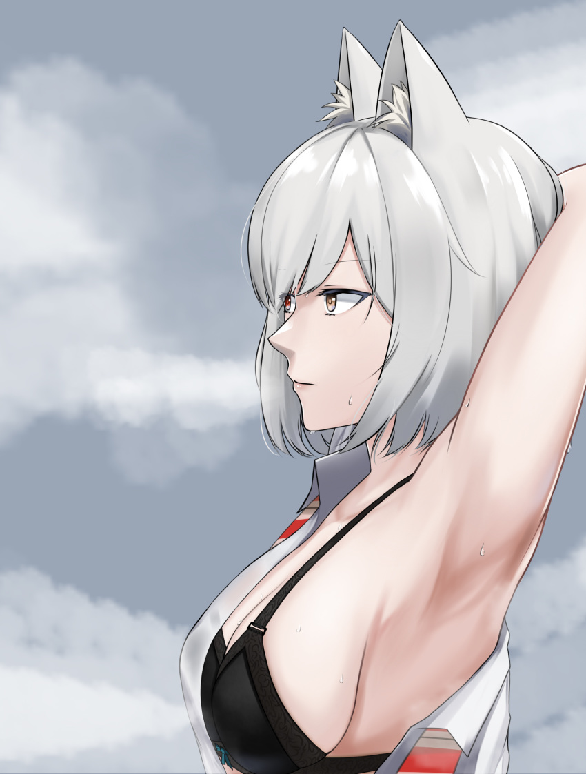 1girl animal_ears armpits black_bra bra breasts closed_mouth clouds cloudy_sky commission eyebrows_visible_through_hair hand_on_head heterochromia highres looking_away medium_breasts medium_hair open_clothes original profile red_eyes silver_hair sky solo sweatdrop tewaki underwear yellow_eyes