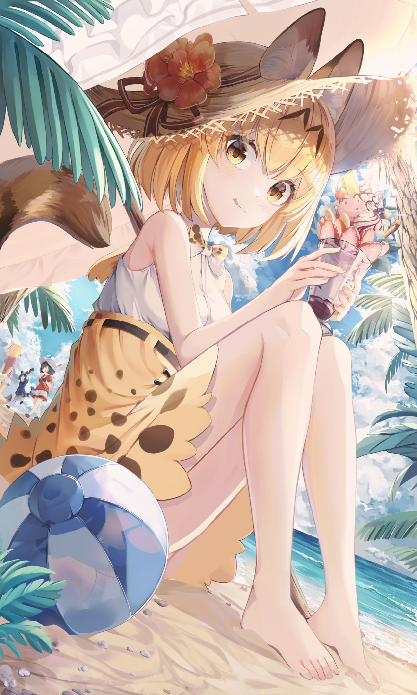 4girls :p absurdres animal_ears animal_ears_(artist) bare_arms bare_legs bare_shoulders barefoot beach black_hair blonde_hair commentary_request common_raccoon_(kemono_friends) dutch_angle eyebrows_visible_through_hair fennec_(kemono_friends) food fox_ears fox_girl fox_tail grey_hair hat hat_feather helmet highres ice_cream kaban_(kemono_friends) kemono_friends multicolored_hair multiple_girls no_gloves no_legwear no_shoes ocean parfait pith_helmet print_skirt raccoon_ears raccoon_girl raccoon_tail sand serval_ears serval_girl serval_print serval_tail short_hair skirt sleeveless solo_focus straw_hat sun_hat tail tongue tongue_out yellow_eyes