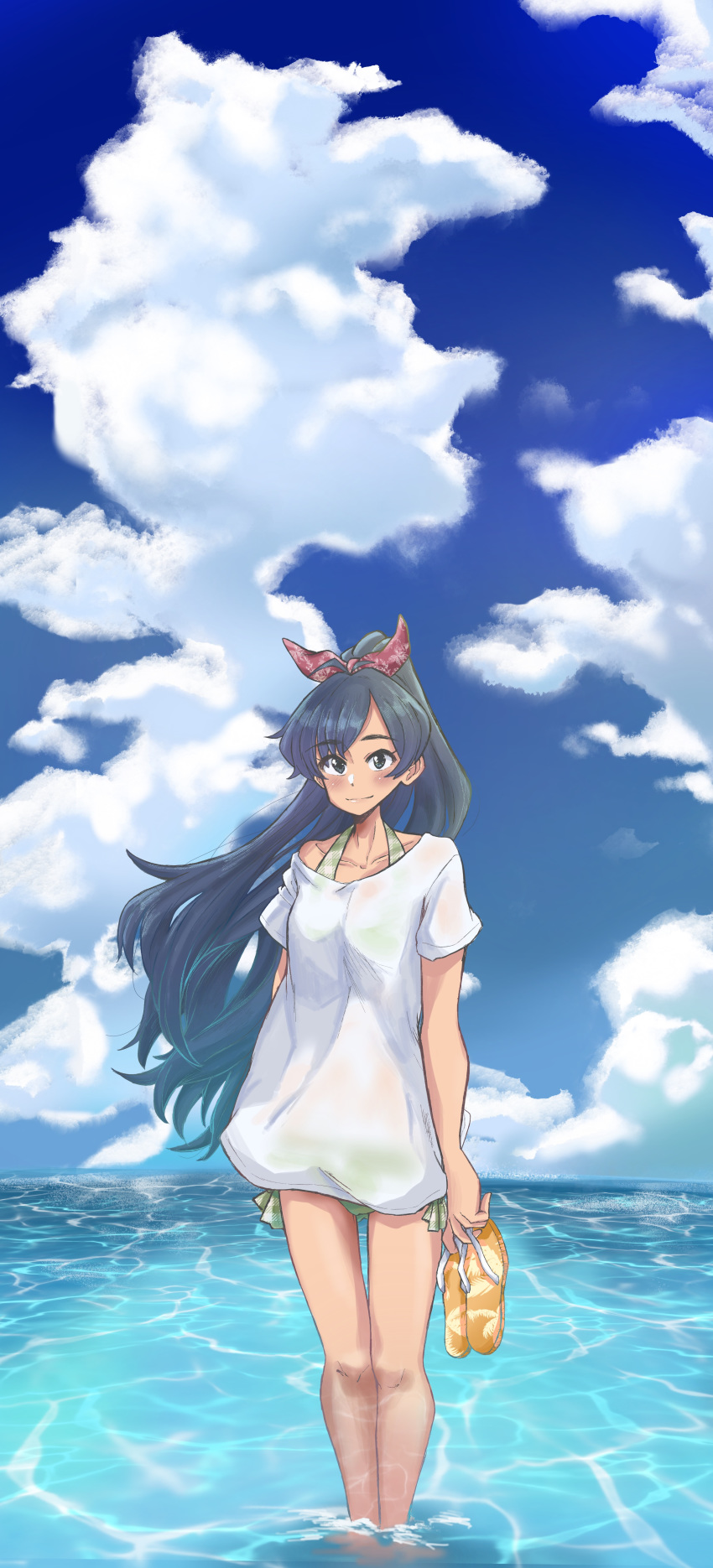 1girl absurdres anjerain black_eyes black_hair clouds floating_hair ganaha_hibiki highres holding holding_clothes holding_footwear idolmaster idolmaster_(classic) looking_at_viewer ocean sandals shirt sky smile solo standing white_shirt