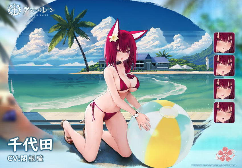 1girl animal_ear_fluff animal_ears artist_request azur_lane ball beachball bikini black_choker breasts chiyoda_(azur_lane) choker expressions flower hair_between_eyes hair_flower hair_ornament high_heels highres kneeling large_breasts looking_at_viewer medium_hair palm_tree red_eyes redhead sakura_empire_(emblem) side-tie_bikini solo swimsuit tree water yellow_flower