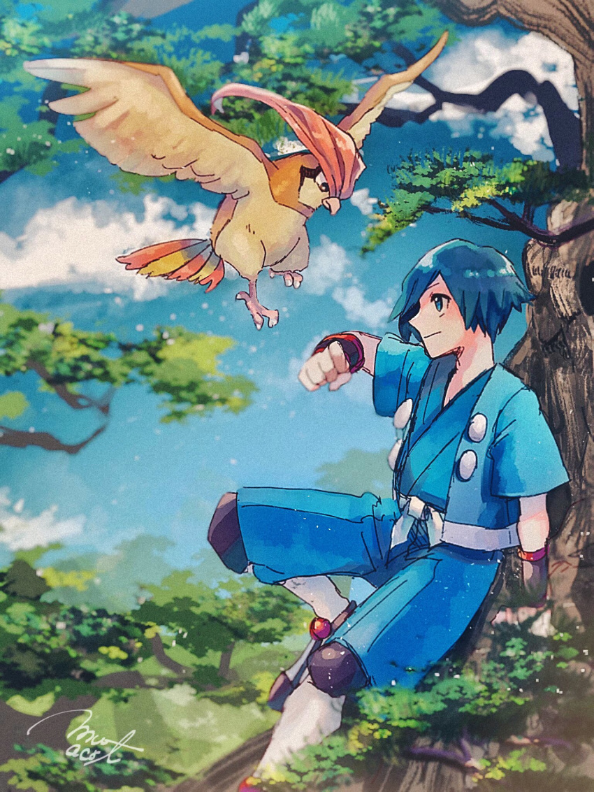 1boy blue_eyes blue_hair blue_jacket blue_shorts blush bracer clenched_hand closed_mouth clouds commentary_request day falkner_(pokemon) gen_1_pokemon hand_up hanenbo highres jacket outdoors pidgeotto pokemon pokemon_(creature) pokemon_(game) pokemon_hgss sash short_hair short_sleeves shorts signature sitting sky tree