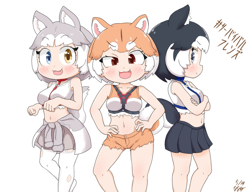 3girls animal_ears commentary_request dog_(kemono_friends) dog_(mixed_breed)_(kemono_friends) dog_ears dog_tail fang fangs harness heterochromia highres kemono_friends midriff multiple_girls nanatidayo open_mouth shorts siberian_husky_(kemono_friends) skirt sleeveless tail tank_top torn_clothes torn_legwear translation_request