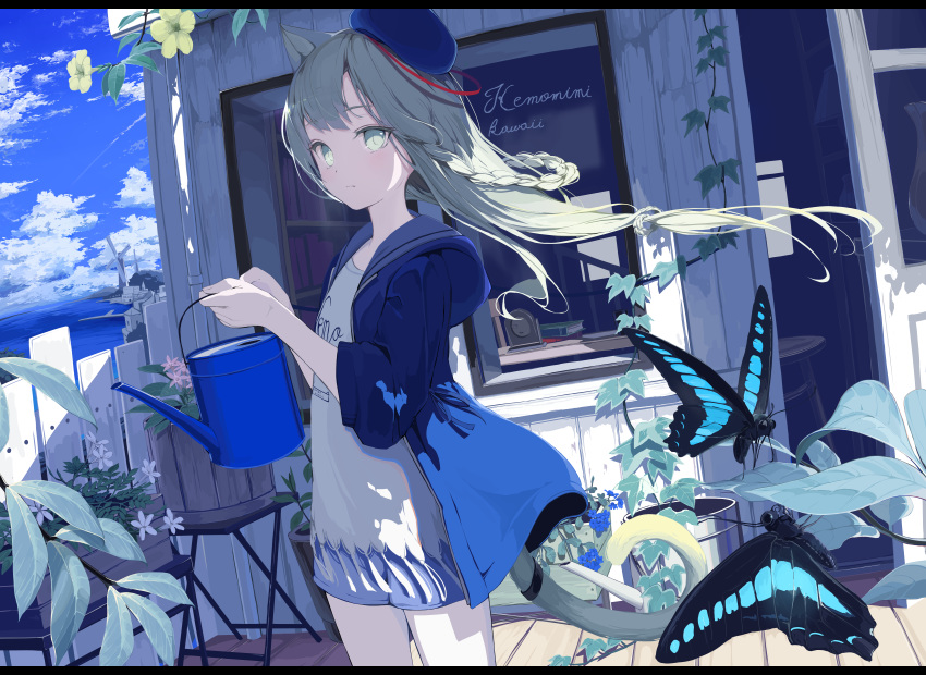 1girl absurdres animal_ears bug butterfly cat_ears grey_eyes grey_hair highres insect long_hair mikisai ocean original outdoors plant solo tail thighs watering_can