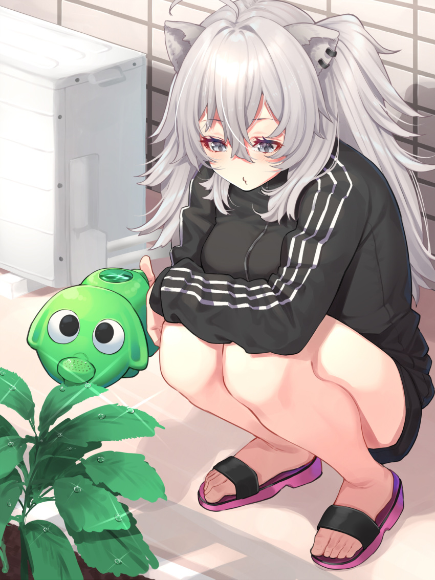1girl ahoge animal_ears arm_on_knee bare_legs black_jacket black_shorts blush breasts ear_clip feet flip-flops grey_eyes grey_hair hair_between_eyes highres holding holding_watering_can hololive jacket large_breasts lion_ears lion_girl long_hair looking_at_object loungewear mikan_(chipstar182) plant pursed_lips sandals shishiro_botan shorts sitting solo sparkle toes track_jacket virtual_youtuber watering watering_can