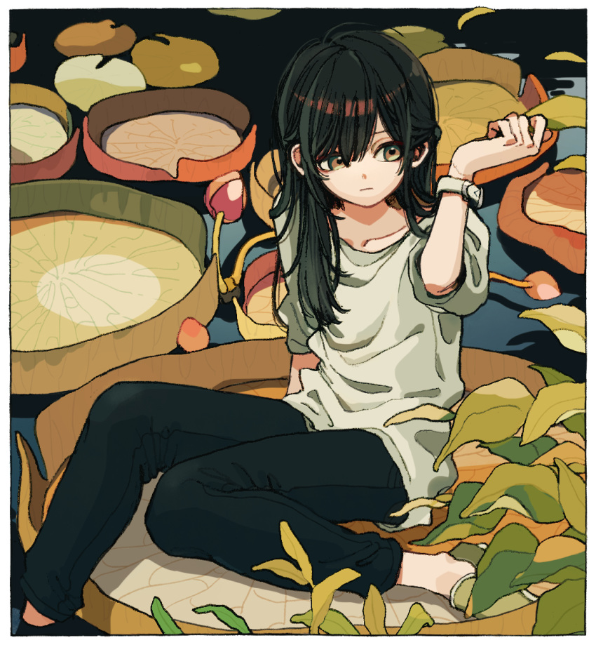 1girl black_hair black_pants border brown_eyes closed_mouth green_footwear hand_up ka_(marukogedago) lily_pad long_hair original pants shoes sitting solo sweater watch watch white_border white_sweater