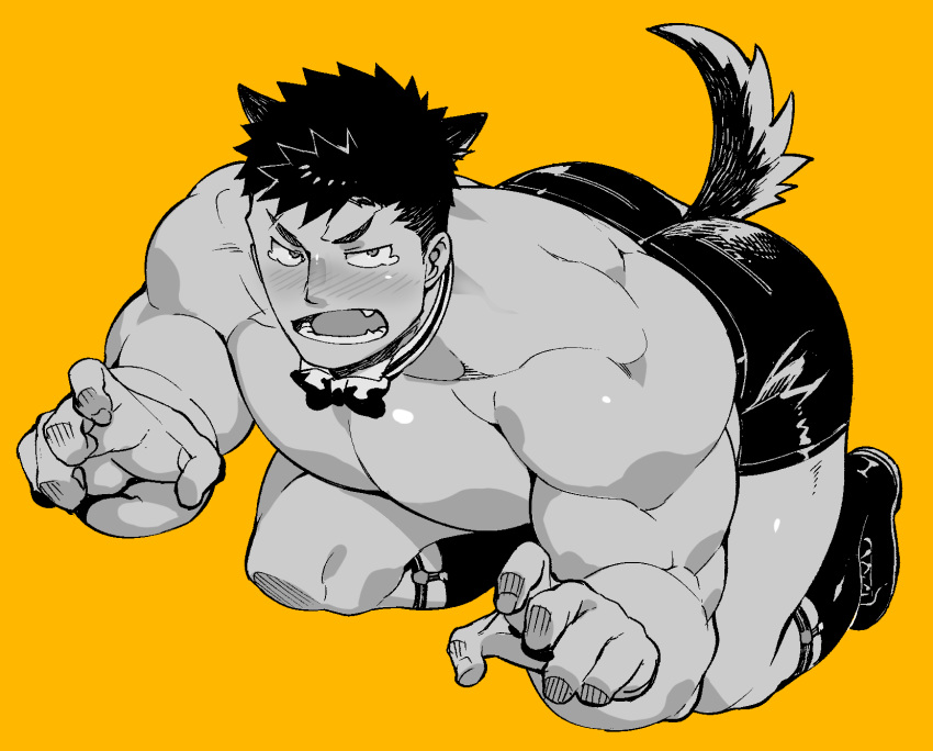 1boy abs animal_ears ass bara bare_chest black_eyes black_hair bow bowtie boxers chest dog_boy dog_ears dog_tail full_body greyscale highres looking_at_viewer male_focus monochrome muscle naop_(anything) navel nipples original paw_pose shirtless short_hair solo tail tearing_up thighs underwear yellow_background