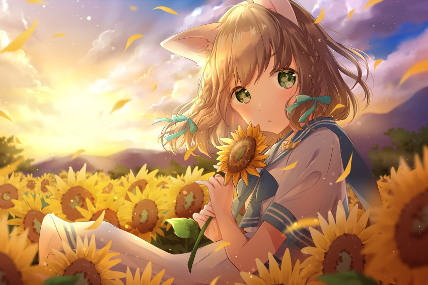 1girl animal_ears bangs blue_neckwear blue_sailor_collar blurry blurry_background blurry_foreground braid brown_hair cat_ears clouds commentary_request dress field flower flower_field gradient_sky green_eyes hair_blowing highres holding holding_flower hoshiibara_mato looking_at_viewer mountain neckerchief original parted_lips petals sailor_collar sailor_dress short_hair short_sleeves sitting sky sleeve_cuffs solo sunflower sunset twin_braids wind