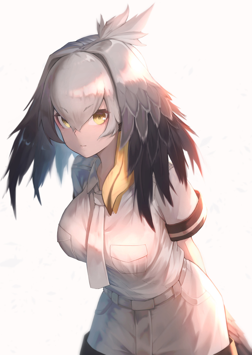 1girl absurdres arms_behind_back bangs bare_arms belt bird_tail black_hair breast_pocket breasts closed_mouth collared_shirt eyebrows_visible_through_hair grey_hair grey_neckwear grey_shirt grey_shorts hair_between_eyes hair_intakes highres kemono_friends leaning_forward light_smile long_hair looking_at_viewer multicolored_hair necktie orange_hair pocket shirt shoebill_(kemono_friends) short_sleeves shorts sidelocks solo st.takuma tail taut_clothes taut_shirt upper_body wing_collar yellow_eyes
