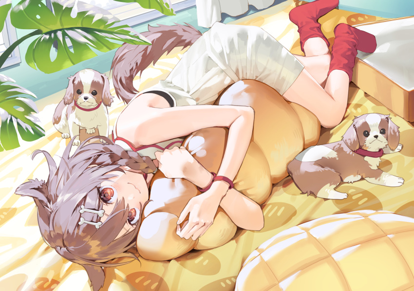 1girl animal_ears bed bone_hair_ornament bracelet braid brown_eyes brown_hair chocolate_cornet dog dog_ears dog_tail food highres hololive inugami_korone jewelry looking_at_viewer lying misoni_comi on_bed pillow pillow_hug red_legwear socks solo tail twin_braids virtual_youtuber