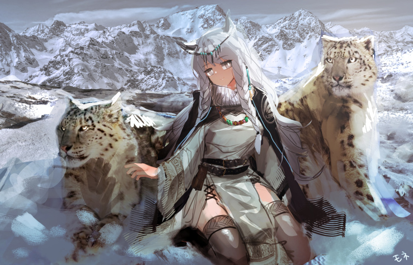 1girl absurdres animal animal_ear_fluff animal_ears arknights bangs braid commentary_request day dress eyebrows_visible_through_hair full_body grey_eyes hair_between_eyes highres hill jewelry leopard leopard_ears long_hair looking_at_viewer mo_ne mountain necklace outdoors pramanix_(arknights) silver_hair sitting turtleneck