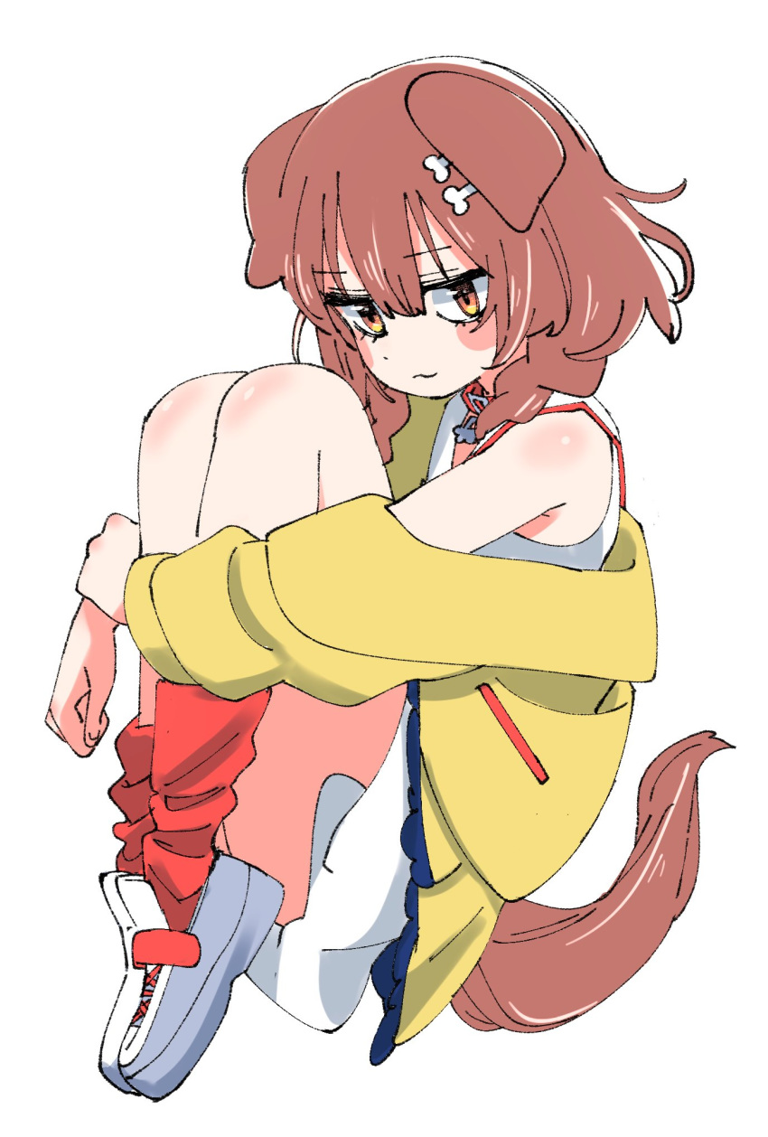 1girl animal_ears bare_legs blush blush_stickers bone_hair_ornament braid brown_eyes brown_hair choker closed_mouth commentary dog_ears dog_tail dress eyebrows_visible_through_hair full_body hair_between_eyes highres hololive inugami_korone jacket kabocha_saikou knees_on_chest leg_hug legs_together looking_at_viewer medium_hair off_shoulder open_clothes open_jacket red_choker red_legwear shoes side_braids simple_background sleeveless sleeveless_dress smile socks solo tail thighs twin_braids virtual_youtuber white_background white_dress white_footwear yellow_jacket