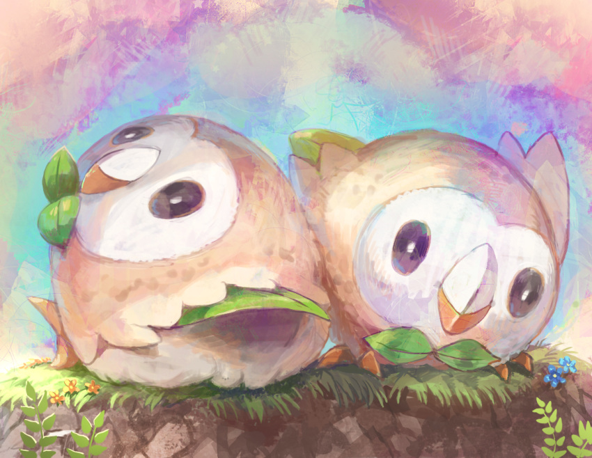 bird black_eyes closed_mouth commentary_request gen_7_pokemon grass looking_at_viewer looking_up nagakura_(seven_walkers) no_humans owl plant pokemon pokemon_(creature) rowlet sitting vines