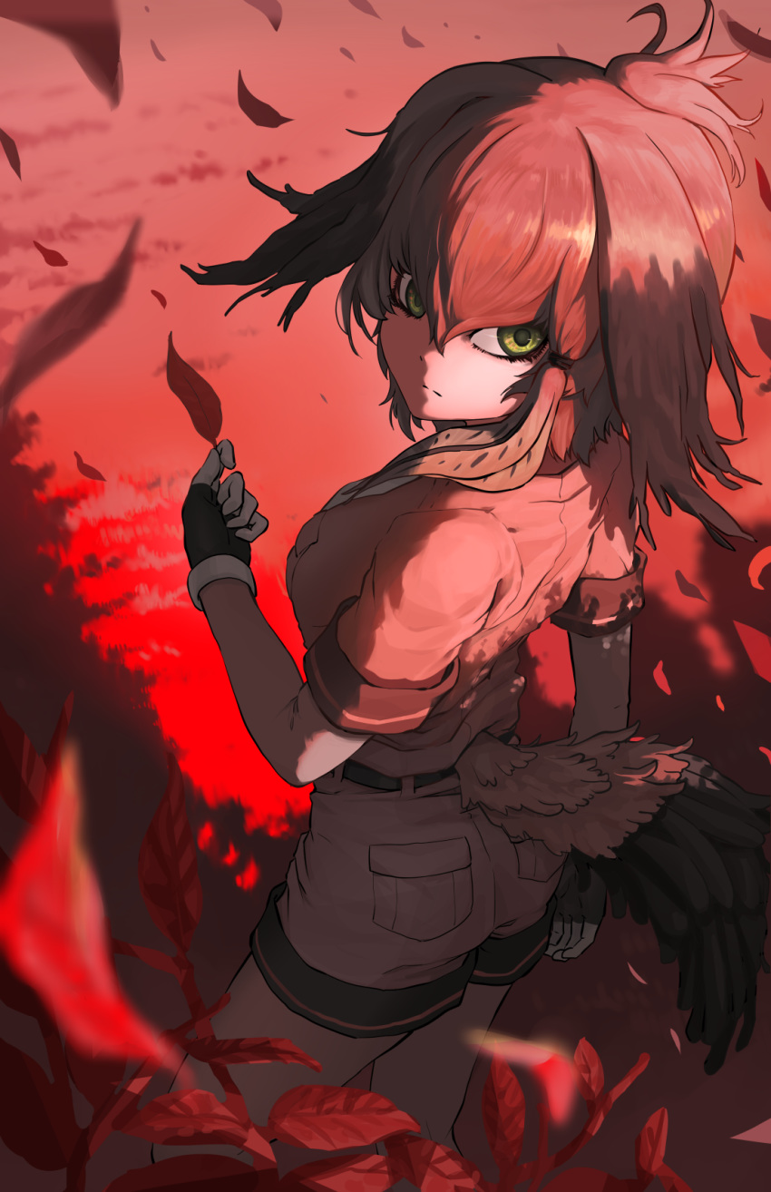 1girl arm_at_side bangs belt bird_tail black_gloves bodystocking breast_pocket closed_mouth collared_shirt expressionless fingerless_gloves from_above from_behind gloves green_eyes hair_between_eyes hair_intakes hand_up highres holding holding_leaf kemono_friends leaf long_hair long_sleeves looking_back looking_up meraton multicolored_hair necktie outdoors pocket shirt shoebill_(kemono_friends) short_over_long_sleeves short_sleeves shorts sidelocks solo standing tail twilight wind