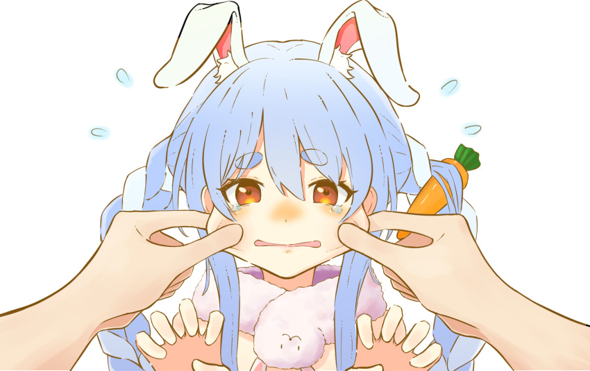 1girl 1other animal_ears bangs blue_hair blush braid carrot carrot_hair_ornament cheek_pinching claw_pose commentary don-chan_(usada_pekora) eyebrows_visible_through_hair flying_sweatdrops food_themed_hair_ornament hair_between_eyes hair_ornament highres hololive kyutai_x long_hair looking_at_viewer multicolored_hair open_mouth orange_eyes pinching pov pov_hands rabbit_ears short_eyebrows sidelocks simple_background solo_focus tearing_up thick_eyebrows twin_braids twintails two-tone_hair upper_body usada_pekora virtual_youtuber white_background white_hair