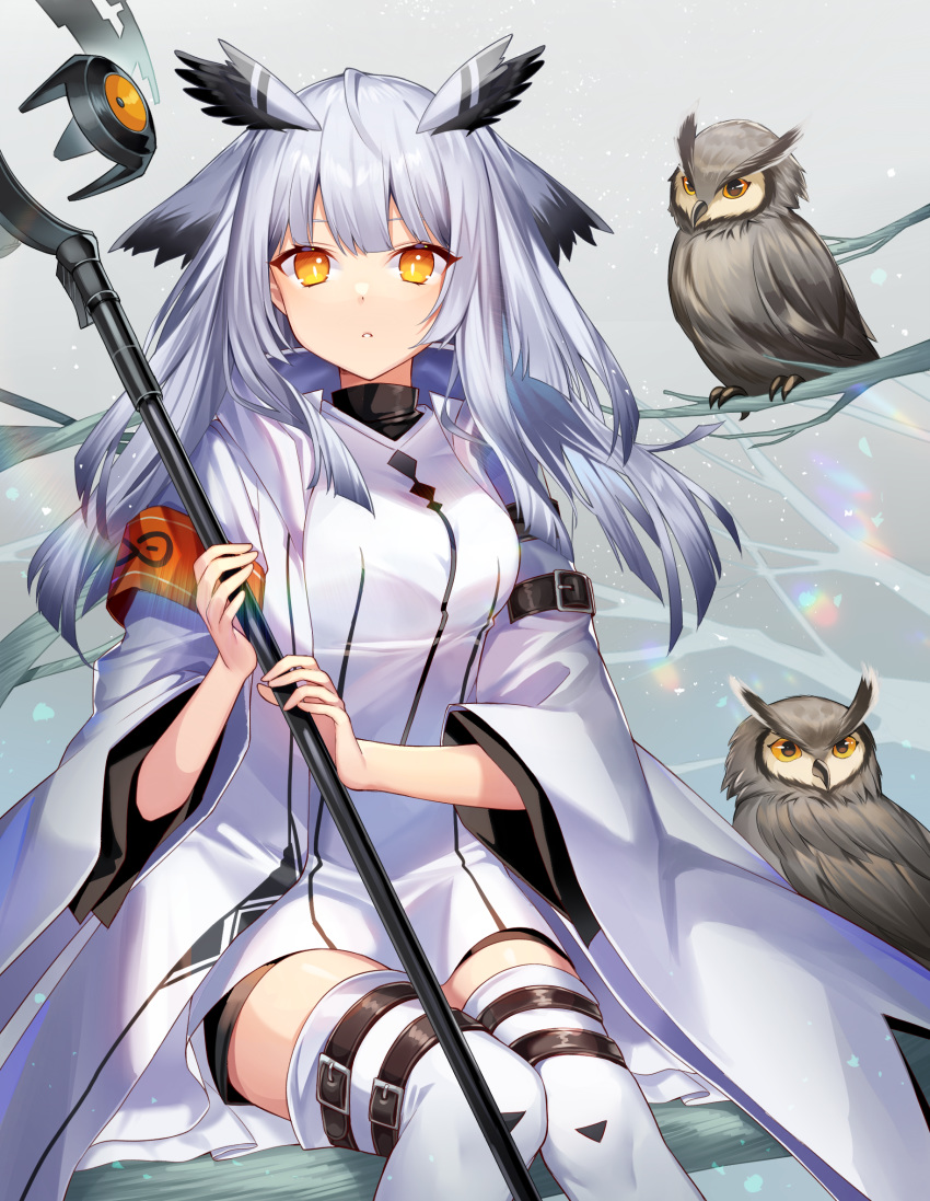 1girl animal arknights armband bird black_shirt breasts closed_mouth coat dress expressionless highres holding holding_staff ion_(on01e) leg_belt long_hair long_sleeves looking_at_viewer medium_breasts open_clothes open_coat owl owl_ears ptilopsis_(arknights) shirt silver_hair sitting solo staff thigh-highs undershirt white_coat white_dress white_legwear wide_sleeves yellow_eyes