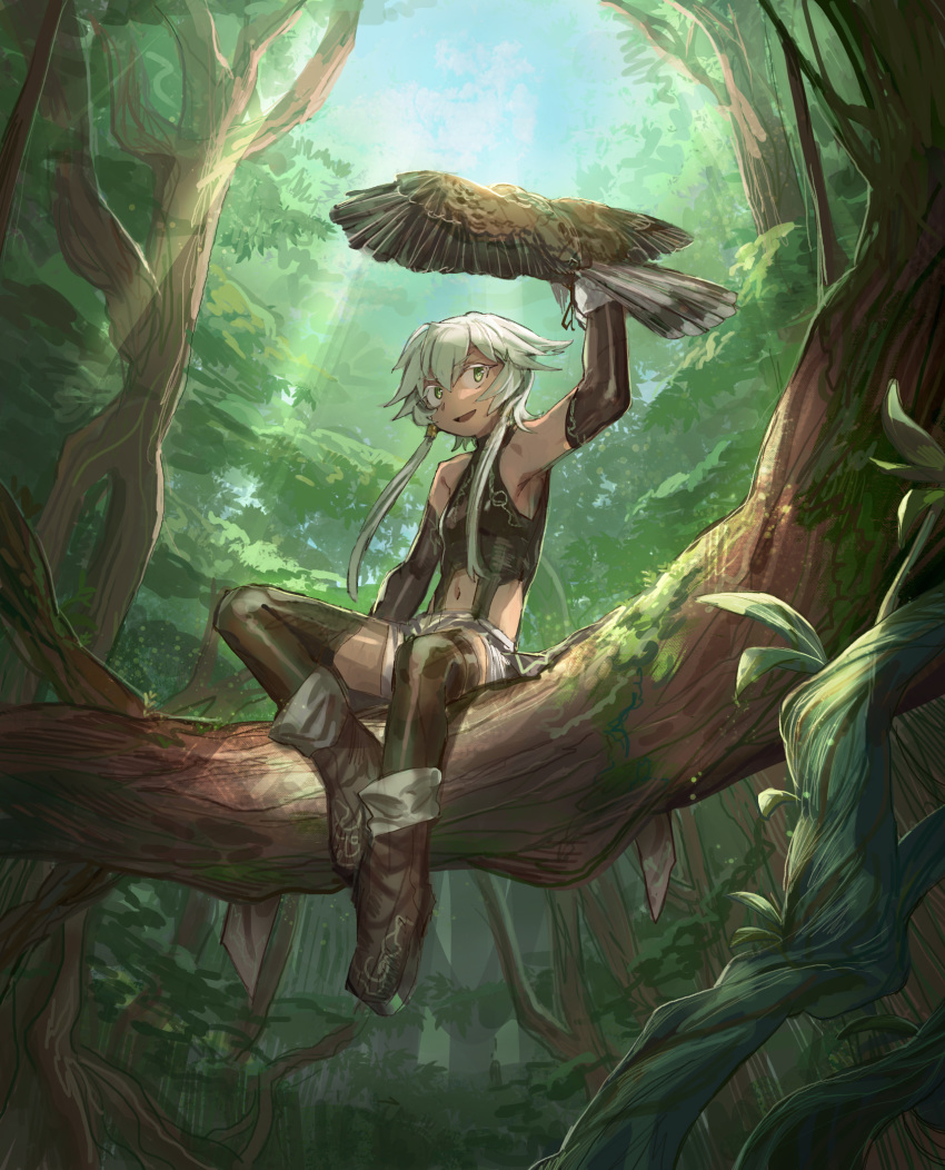 1girl animal_on_arm ankle_boots bird bird_on_arm black_legwear boots brown_footwear day elbow_gloves forest gloves green_eyes grey_gloves hand_up hawk highres in_tree looking_at_viewer midriff nature navel original outdoors shichigatsu short_hair_with_long_locks shorts sidelocks smile solo thigh-highs tree tree_branch vest white_hair white_shorts