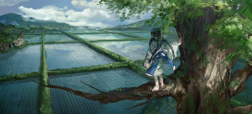 1girl absurdres black_hair blue_sky clouds cloudy_sky day facing_away from_behind grey_kimono highres in_tree japanese_clothes kimono long_hair long_sleeves low_twintails original outdoors rice_paddy scenery shichigatsu sky solo standing tree twintails