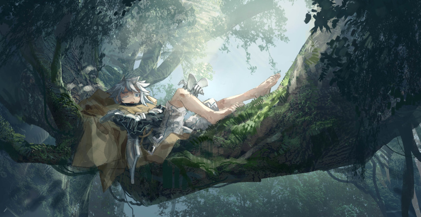 1girl armor bare_legs barefoot bloom blue_eyes branch bug cape day forest highres in_tree insect leaf lying nature on_back one_eye_closed open_mouth original pants scenery shichigatsu short_hair silver_hair sitting sitting_in_tree solo sunlight tree yellow_cape