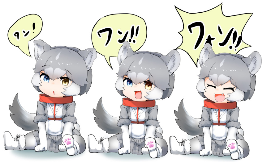 3girls animal_ears blue_eyes boots closed_eyes collar commentary_request dog_(mixed_breed)_(kemono_friends) dog_ears dog_girl dog_tail elbow_gloves eyebrows_visible_through_hair fang fur_trim gloves grey_fur grey_hair grey_jacket grey_legwear grey_skirt harness heterochromia highres jacket kemono_friends multicolored_hair multiple_girls open_mouth pantyhose paw_print_soles pleated_skirt red_collar short_hair short_sleeves sitting skirt sweater szgxmfd3b9airnx tail translated triangle_mouth white_gloves white_hair white_sweater yellow_eyes younger