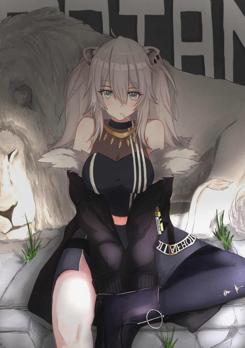 1girl absurdres animal_ears breasts candy food fur_trim highres hololive huge_filesize large_breasts lion_ears lollipop looking_up mofu07519 off-shoulder_jacket shishiro_botan solo torn_clothes torn_legwear virtual_youtuber white_eyes white_hair