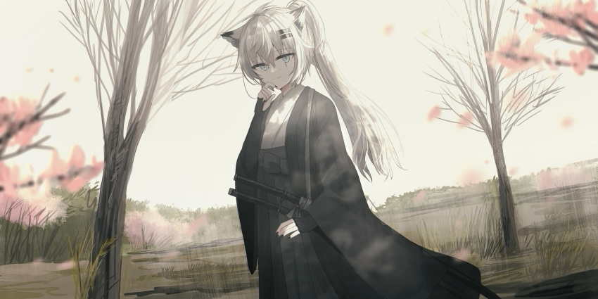 1girl absurdres animal_ears arknights bangs bare_tree black_gloves black_hakama black_nails blue_eyes blurry blurry_foreground chihuri closed_mouth day depth_of_field elbow_gloves eyebrows_visible_through_hair fingerless_gloves flower gloves hair_between_eyes hair_ornament hairclip hakama hakama_skirt high_ponytail highres japanese_clothes katana kimono lappland_(arknights) long_sleeves looking_at_viewer nail_polish open_clothes outdoors pink_flower ponytail scar scar_across_eye sheath sheathed skirt smile solo sword tree weapon white_hair white_kimono wide_sleeves