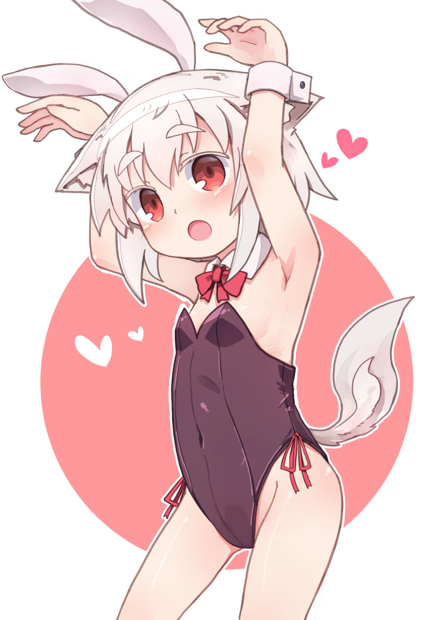 1girl :o absurdres animal_ears armpits arms_up bangs bare_shoulders black_leotard blush bow breasts collar covered_navel detached_collar eyebrows_visible_through_hair hair_between_eyes heart highres inubashiri_momiji kibisake leotard looking_at_viewer open_mouth outline rabbit_ears red_background red_bow red_eyes silver_hair small_breasts solo strapless strapless_leotard tail thick_eyebrows touhou two-tone_background white_background white_collar white_outline wing_collar wolf_ears wolf_girl wolf_tail wrist_cuffs