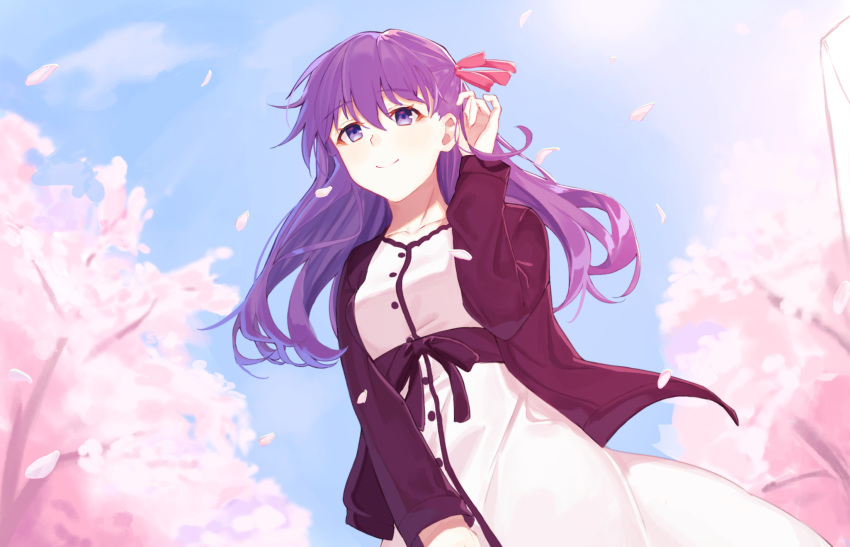 1girl bangs black_shirt cherry_blossoms chip_le_cree closed_mouth collarbone day dress dutch_angle eyebrows_visible_through_hair fate/stay_night fate_(series) floating_hair from_below hair_between_eyes hair_ribbon hand_in_hair highres long_hair matou_sakura open_clothes open_shirt outdoors pink_ribbon purple_hair ribbon shiny shiny_hair shirt smile solo spring_(season) standing sundress very_long_hair violet_eyes white_dress