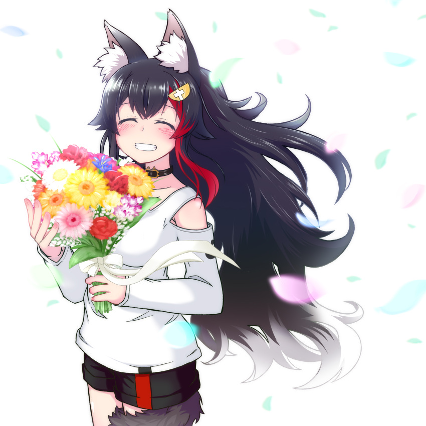 1girl animal_ears ashiga_oreta bangs black_hair black_shorts blush bouquet closed_eyes collar commentary_request eyebrows_visible_through_hair facing_viewer flower grin hair_between_eyes hair_ornament hairclip highres holding holding_bouquet hololive long_hair long_sleeves multicolored_hair ookami_mio petals redhead shirt short_shorts shorts sidelocks simple_background smile solo tail two-tone_hair virtual_youtuber white_background white_shirt wolf_ears wolf_girl wolf_tail