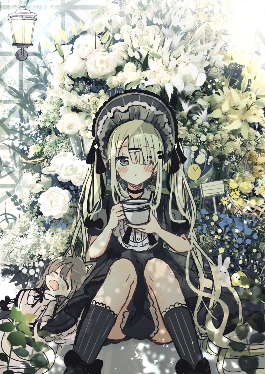 2girls :o animal bird black_dress black_headwear black_legwear blush bonnet brown_dress brown_hair chick closed_eyes commentary_request cup dress drooling feet_out_of_frame flower gothic_lolita green_eyes green_hair hair_ornament hair_over_one_eye hairclip highres holding holding_cup knees_together_feet_apart knees_up lolita_fashion long_hair looking_at_viewer minigirl mouth_drool multiple_girls open_mouth original parted_lips puffy_short_sleeves puffy_sleeves rabbit rose sakura_oriko short_sleeves sitting sleeping socks striped striped_legwear vertical-striped_legwear vertical_stripes very_long_hair wall_lamp white_flower white_rose