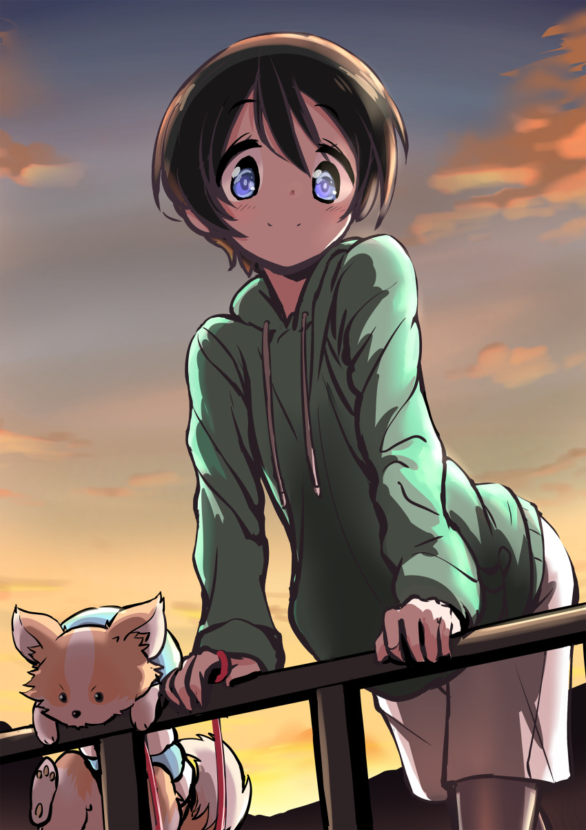 1girl absurdres animal black_hair blue_eyes chikuwa_(yurucamp) commentary dog highres hood hoodie leaning_forward leash looking_at_viewer n2midori outdoors railing saitou_ena short_hair twilight yurucamp