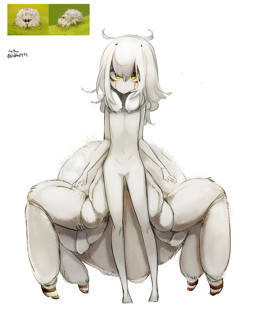 1girl ahoge diddms1999 flat_chest hair_between_eyes highres insect_girl jumping_spider long_hair monster_girl multiple_legs original simple_background solo spider_girl spider_legs twitter_username white_background white_hair yellow_eyes