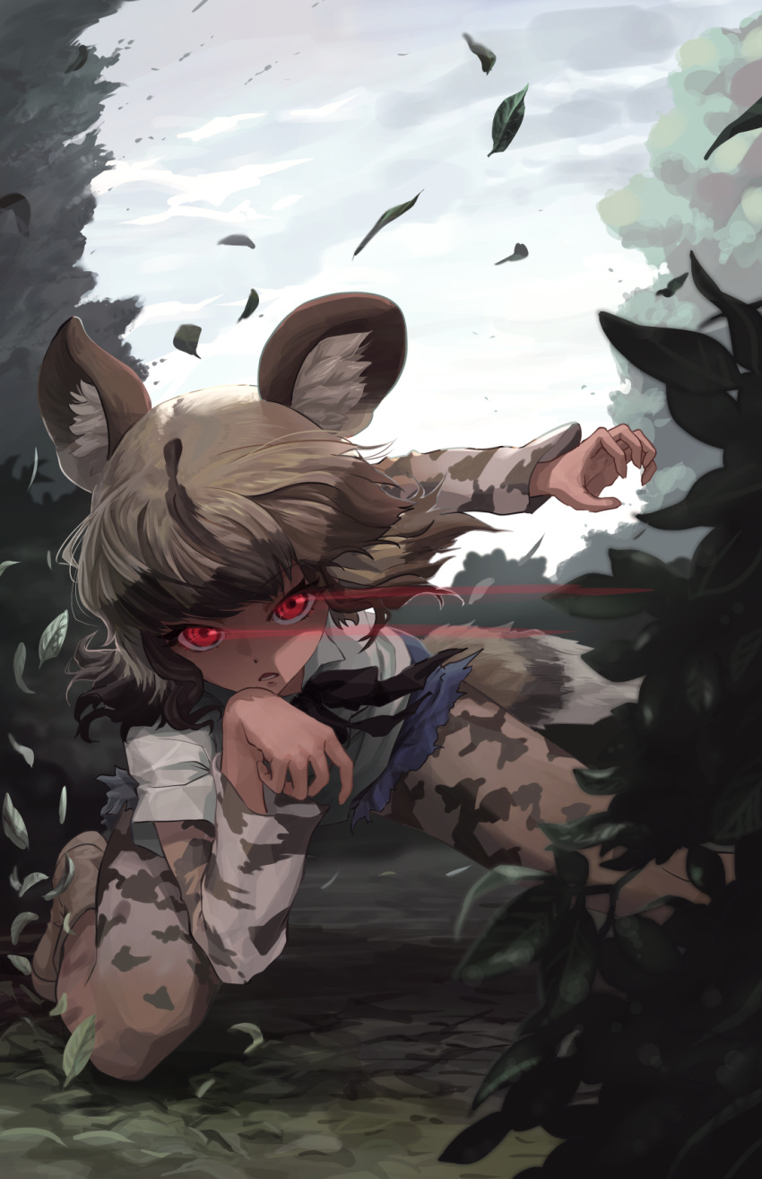 1girl african_wild_dog_(kemono_friends) african_wild_dog_print animal_ear_fluff animal_ears animal_print arm_up bangs bodystocking boots brown_hair claw_pose collared_shirt cutoffs day dog_ears dog_girl dog_tail fighting_stance floating_hair glowing glowing_eyes grey_hair hand_up highres kemono_friends leaf leaning_forward long_sleeves looking_at_viewer medium_hair meraton multicolored_hair neck_ribbon one_knee outdoors red_eyes ribbon serious shirt short_over_long_sleeves short_shorts short_sleeves shorts solo tail two-tone_hair wind