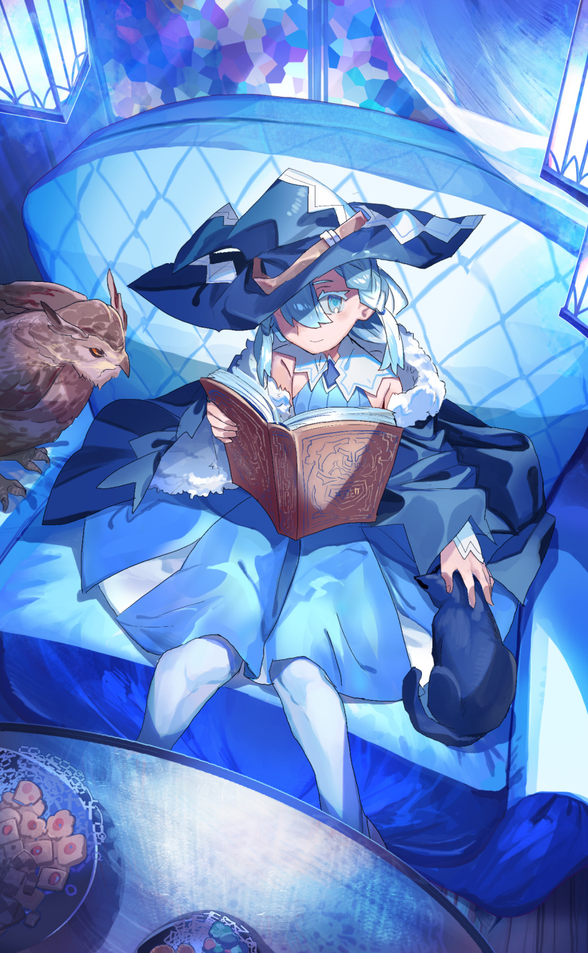 1girl bird black_cat blue_coat blue_dress blue_eyes blue_hair blue_headwear book braid cat closed_mouth coat cookie couch dress food fur-trimmed_coat fur_trim hair_over_one_eye hat highres holding holding_book looking_at_viewer off-shoulder_coat on_couch one_eye_covered open_book original owl shichigatsu sitting smile solo table
