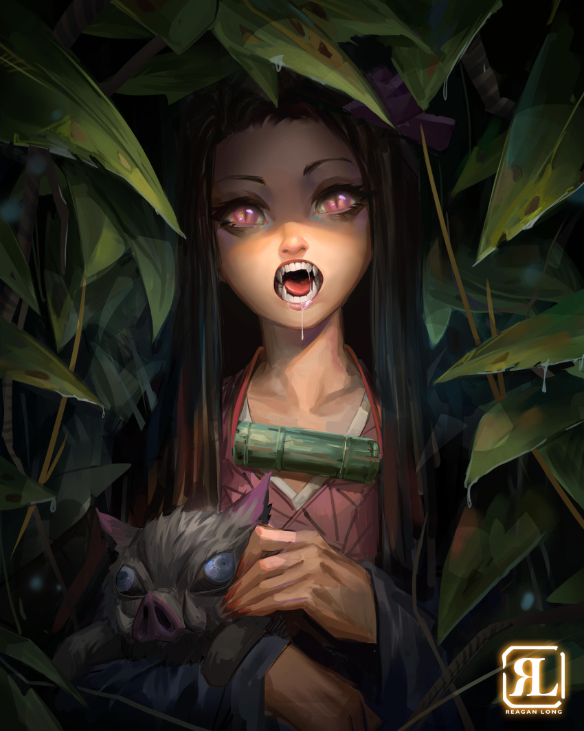 1girl absurdres bamboo bared_teeth black_hair black_haori boar drooling fangs forehead gag_around_neck gag_removed hashibira_inosuke highres japanese_clothes kamado_nezuko kimetsu_no_yaiba kimono lips long_hair nose petting photoshop_(medium) piglet pink_eyes pink_kimono reagan_long saliva slit_pupils solo_focus