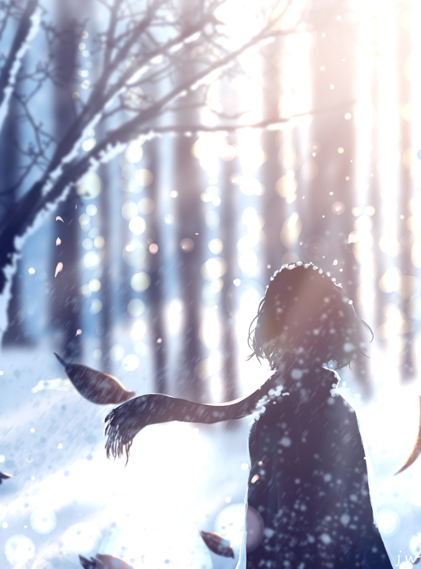1girl backlighting bare_tree blurry chinese_commentary commentary forest from_behind highres leaf lens_flare nature original outdoors scarf short_hair signature skyrick9413 snow solo sunlight tree wind winter
