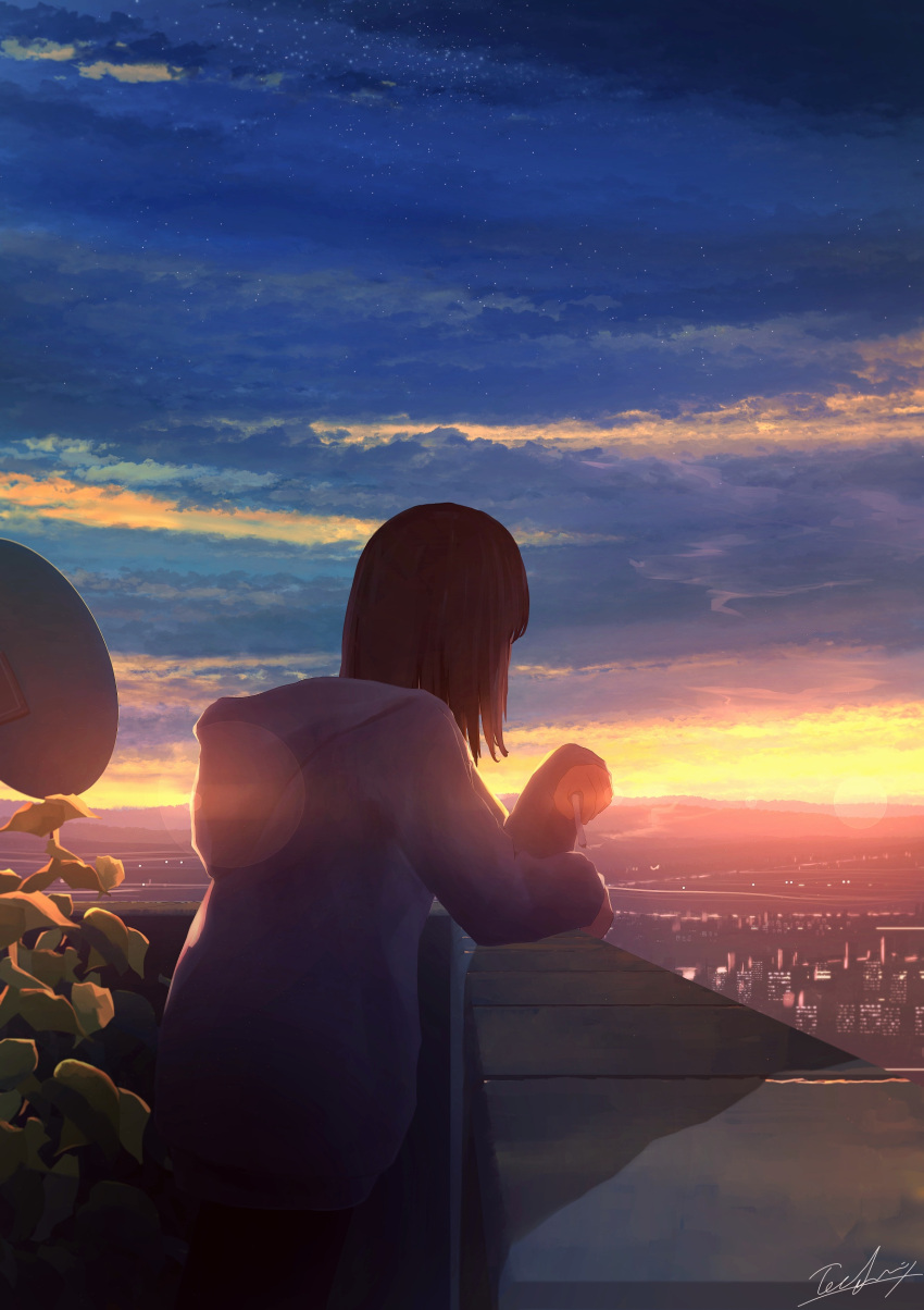 1girl absurdres brown_hair cigarette city clouds from_behind highres hood hooded_jacket horizon jacket on_roof original satellite_dish scenery short_hair signature sky solo sunset tochichima