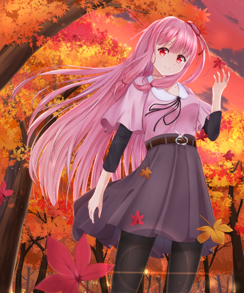 1girl absurdres autumn_leaves belt black_legwear commentary falling_leaves forest from_below glint hair_ribbon hand_up highres kotonoha_akane leaf lens_flare long_hair looking_at_viewer maple_leaf nature outdoors pantyhose pink_hair pink_shirt purple_skirt red_eyes red_sky ribbon shirt shirua_(s4-42424) short_sleeves sidelocks skirt sky smile solo sparkle tree twilight very_long_hair voiceroid