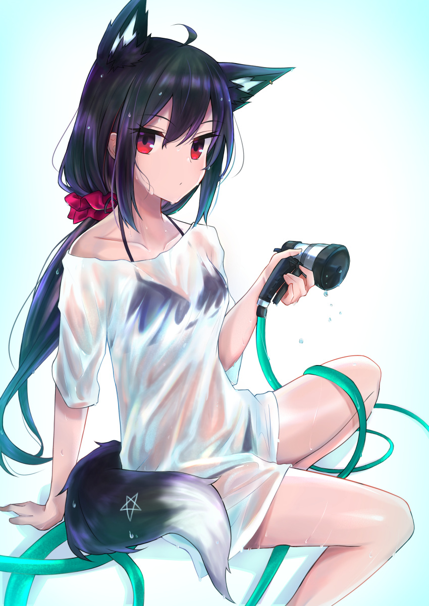 1girl absurdres ahoge animal_ear_fluff animal_ears bikini black_bikini black_hair collarbone commentary_request earrings eyebrows_visible_through_hair fox_ears fox_girl fox_tail hair_between_eyes hair_ornament hair_scrunchie highres holding_hose hololive hose hose_nozzle iwahada jewelry kurokami_fubuki long_hair looking_at_viewer pentagram red_eyes scrunchie shirt simple_background sitting solo swimsuit tail virtual_youtuber wet wet_clothes wet_shirt white_background white_shirt