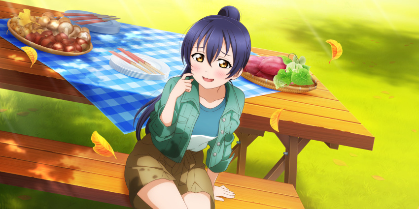 blue_hair brown_eyes dress long_hair love_live!_school_idol_festival_all_stars ponytail smile sonoda_umi