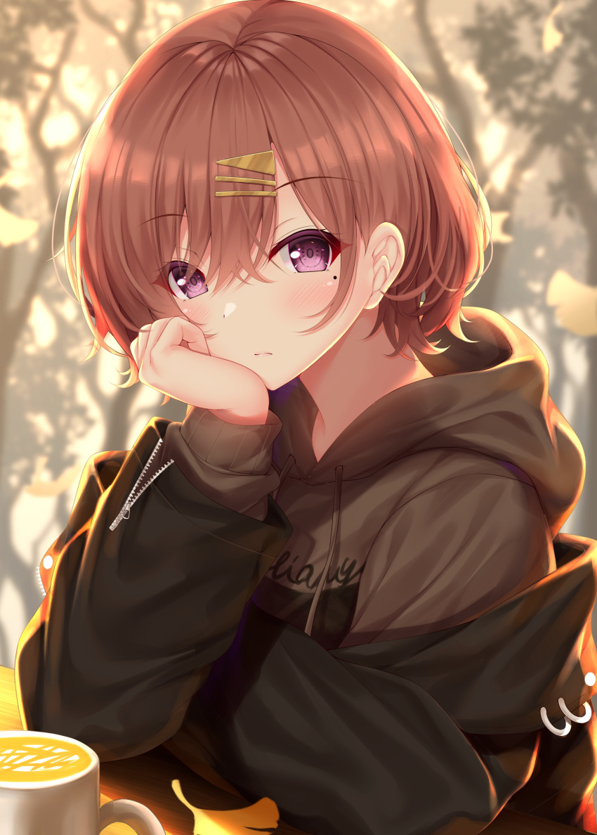 1girl absurdres bangs bare_tree black_jacket blurry blurry_background blush bobby_pin brown_hair brown_hoodie closed_mouth commentary_request cup depth_of_field drawstring eyebrows_visible_through_hair ginkgo_leaf hair_between_eyes hair_ornament hairclip highres higuchi_madoka hood hood_down hoodie idolmaster idolmaster_shiny_colors jacket long_sleeves looking_at_viewer mole mole_under_eye mug off_shoulder open_clothes open_jacket puffy_long_sleeves puffy_sleeves short_hair solo tree upper_body violet_eyes yunagi_amane