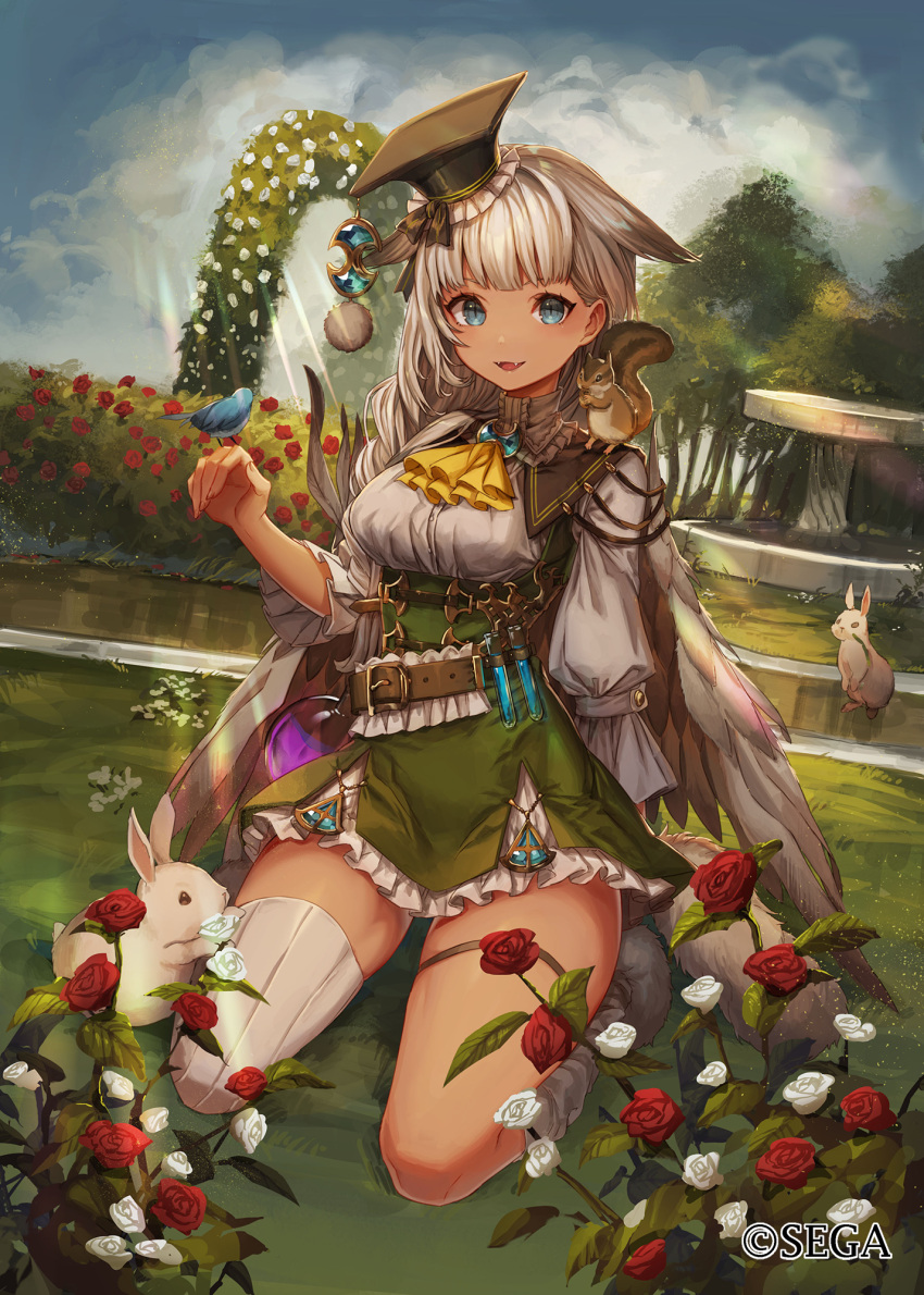 1girl belt bird blue_eyes breasts chipmunk day dutch_angle fangs feathered_wings hair_flaps hat highres kneeling long_hair looking_at_viewer medium_breasts mortarboard official_art outdoors rabbit shirt single_thighhigh solo squirrel thigh-highs thigh_strap white_hair white_legwear white_shirt wings wonderland_wars yu-ri