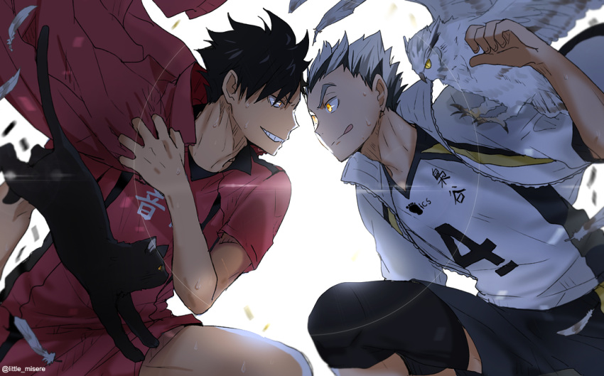 2boys :p animal bird black_hair bokuto_koutarou cat eye_contact face-to-face feathers grey_hair grin haikyuu!! jacket jacket_on_shoulders kuroo_tetsurou kurot light_rays looking_at_another male_focus multicolored_hair multiple_boys owl shirt short_hair short_sleeves shorts simple_background smile sportswear squatting sweatdrop tongue tongue_out track_jacket two-tone_hair volleyball_uniform