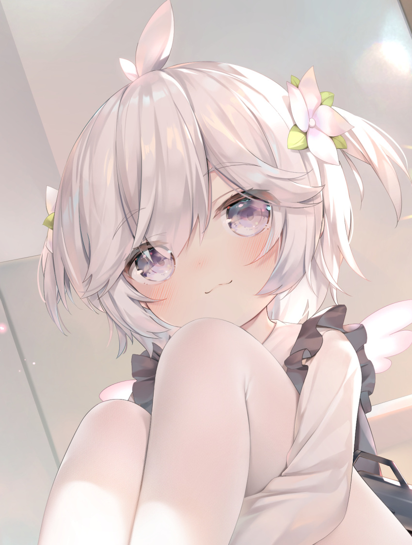 1girl azur_lane bangs blush chen_bin closed_mouth commentary_request eyebrows_visible_through_hair flower grey_hair hair_between_eyes hair_flower hair_ornament highres knees_up leg_hug looking_at_viewer mini_wings pantyhose shirt silver_hair sitting smile solo two_side_up u-110_(azur_lane) white_flower white_legwear white_shirt white_wings wings