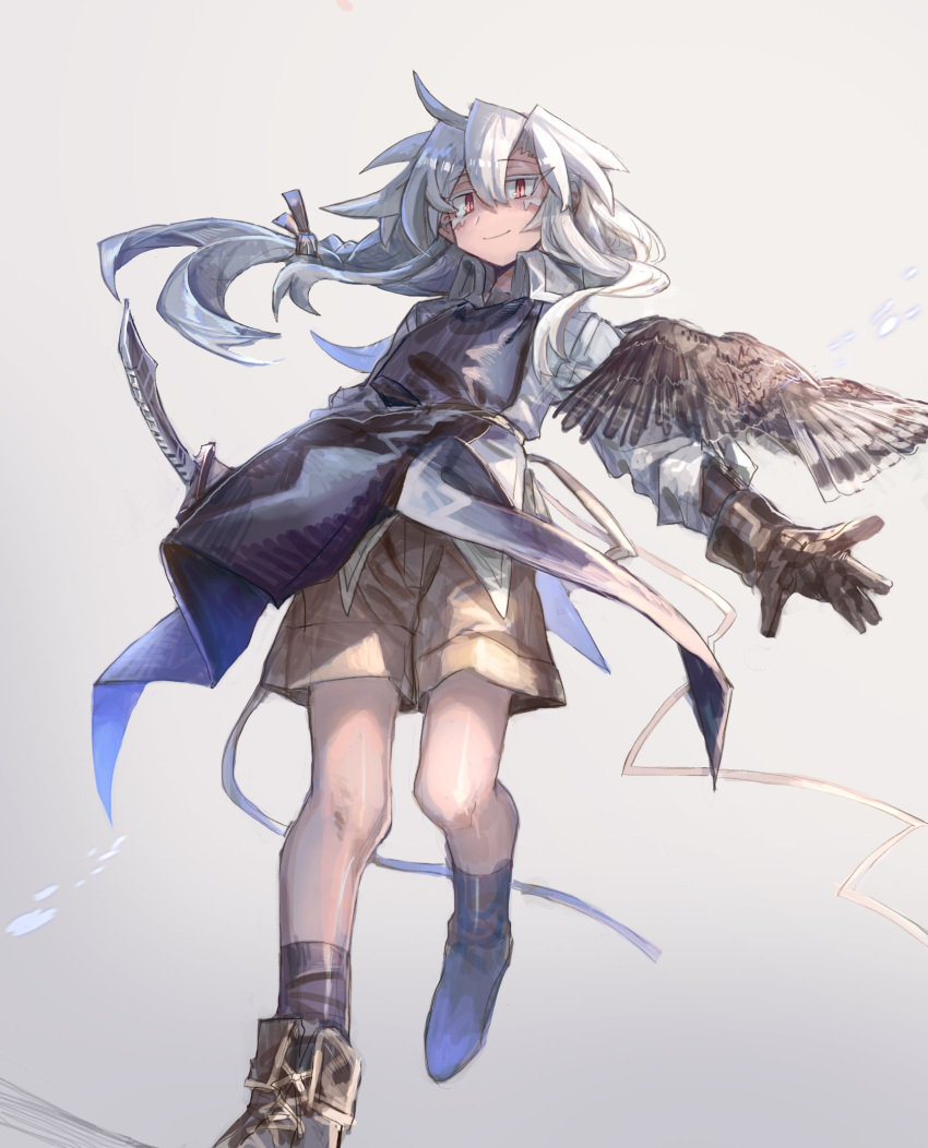 1girl ahoge animal_on_arm ari_(shichigatsu) bird bird_on_arm braid brown_gloves brown_shorts closed_mouth collared_shirt falconry floating_hair gloves grey_background hair_between_eyes hawk highres long_hair looking_at_viewer original red_eyes shichigatsu shirt shorts simple_background single_braid single_glove smile solo standing standing_on_one_leg tabard white_hair white_shirt wing_collar