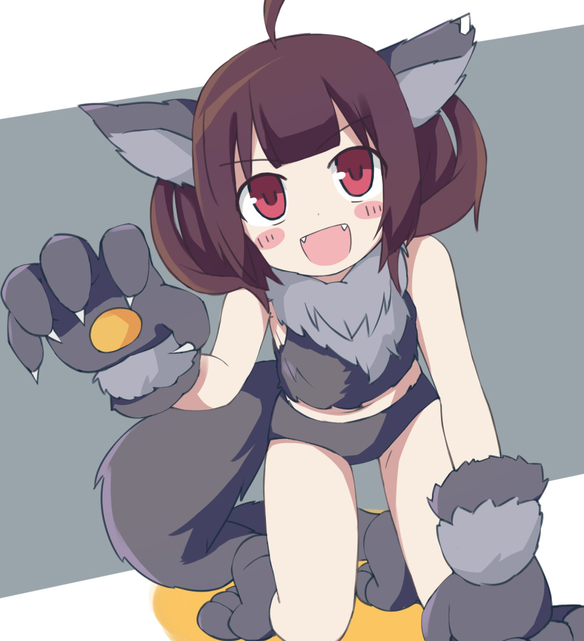 1girl ahoge all_fours animal_costume animal_ears bangs blunt_bangs blush_stickers brown_hair claw_pose commentary fangs gloves halloween halloween_costume highres looking_at_viewer open_mouth paw_gloves paws red_eyes short_hair smile solo tail touhoku_kiritan voiceroid wolf_costume wolf_ears wolf_paws wolf_tail zerueru11