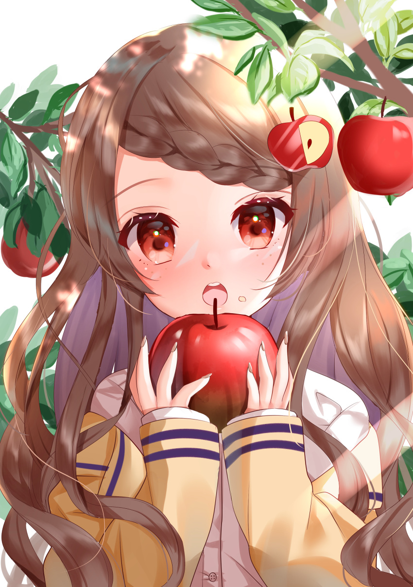 1girl absurdres apple apple_hair_ornament bangs blush braid braided_bangs brown_hair brown_jacket brown_nails commentary eyebrows_visible_through_hair fingernails food food_on_face food_themed_hair_ornament freckles fruit hair_ornament hands_up highres holding holding_food holding_fruit jacket long_sleeves looking_at_viewer nail_polish off_shoulder open_clothes open_jacket open_mouth original red_apple red_eyes shirt sleeves_past_wrists solo swept_bangs tree_branch tsukimiya_sara upper_body white_background white_shirt