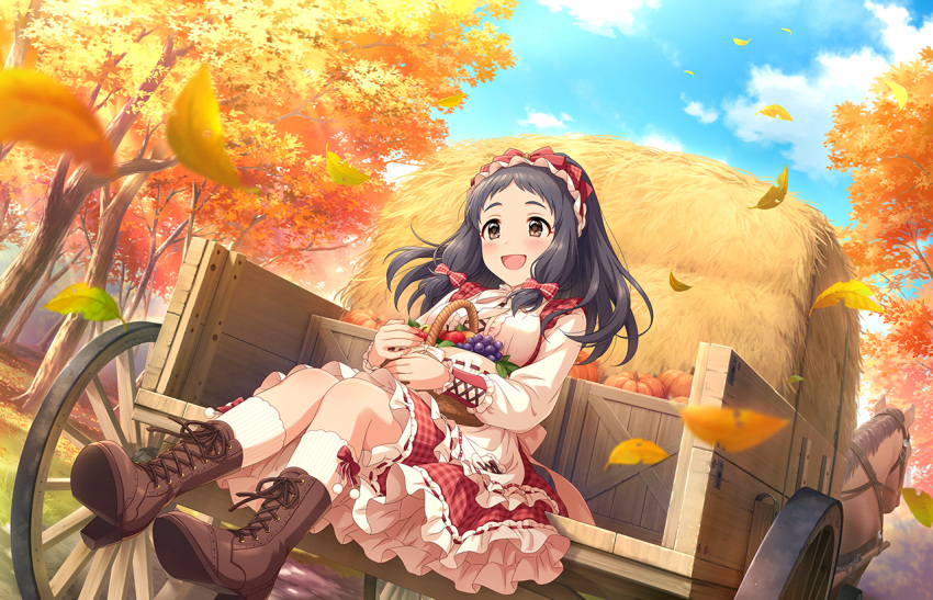 autumn black_hair dress idolmaster_cinderella_girls_starlight_stage long_hair oonuma_kurumi red_eyes smile