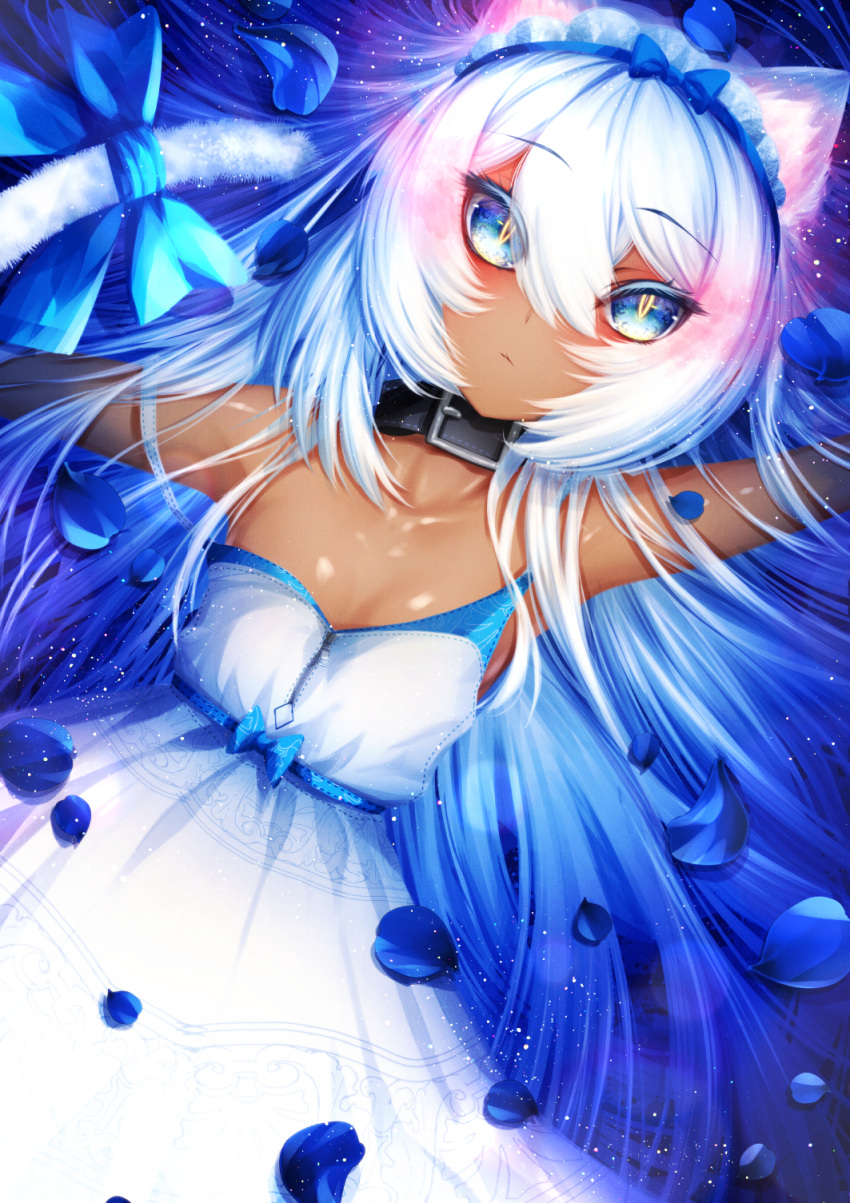 1girl animal_ears arm_up bangs blue_eyes blue_hairband blue_ribbon breasts cat_ears cat_girl cat_tail closed_mouth cluseller collar commentary_request dark_skin dress dutch_angle eyebrows_visible_through_hair from_above hair_between_eyes hairband highres light_particles long_hair lying maid_headdress off_shoulder on_back original petals ribbon shiny shiny_skin sidelocks sleeveless sleeveless_dress slit_pupils small_breasts solo spaghetti_strap strap_slip tail tail_ribbon very_long_hair white_dress white_hair zipper zipper_pull_tab