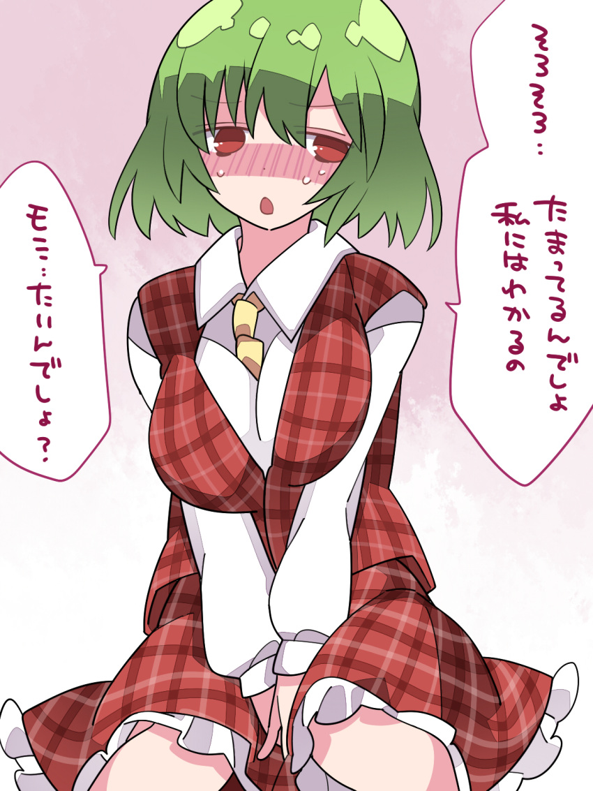1girl ascot blush breast_squeeze breasts collared_shirt facing_viewer frills green_hair hammer_(sunset_beach) hands_on_lap highres kazami_yuuka long_sleeves plaid plaid_vest red_eyes red_vest shirt sitting skirt skirt_set solo sweat touhou translation_request vest white_shirt yellow_neckwear